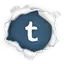 tumblr Share on Tumblr