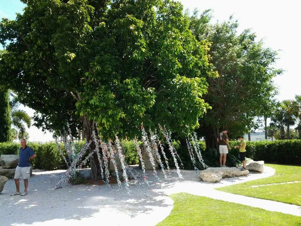 Wish Tree @ Dali Museum