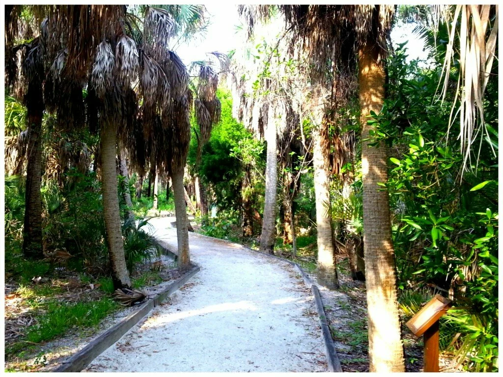 Birding Trail at Fort De Soto Bch(1)