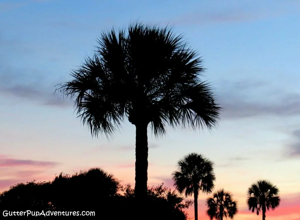 St. Augustine Sunset