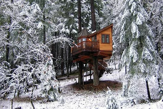Calypso winter