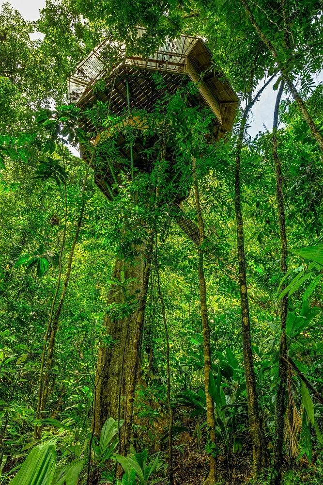 Finca Bellavista Treehouses