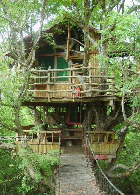Sanya2 (1)
