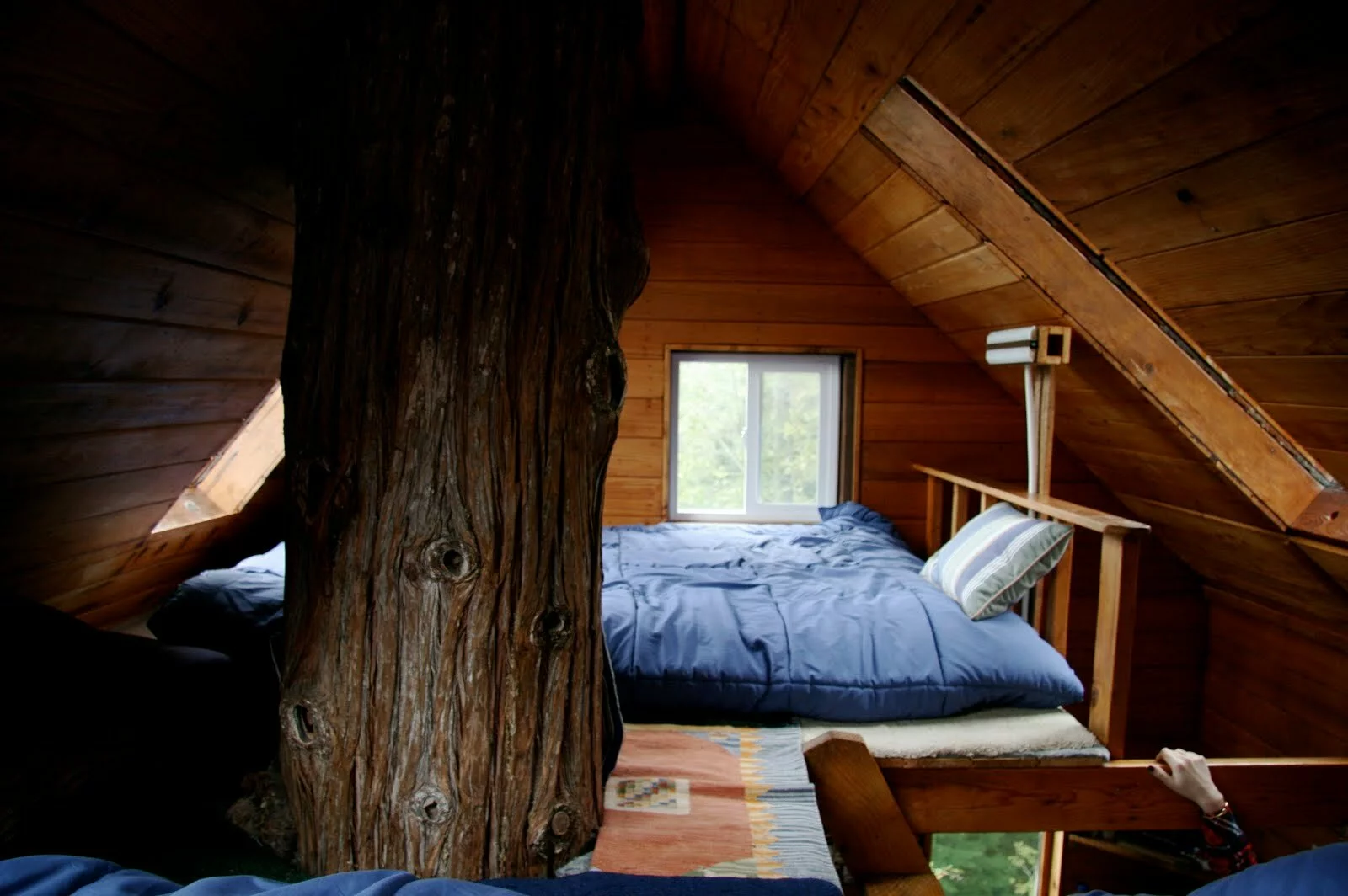 cedar creek interior
