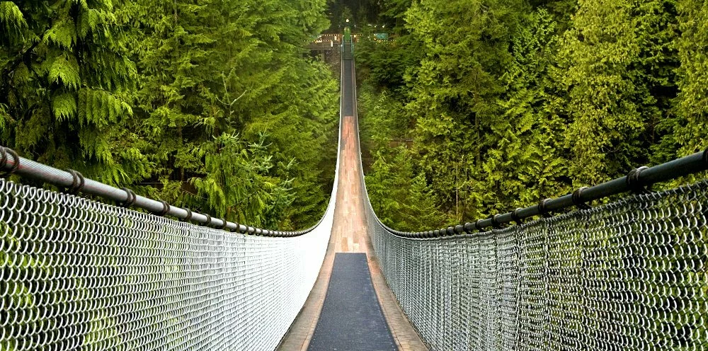 Capilano Suspension Bridge 2