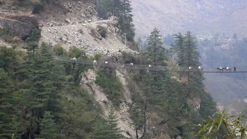 Hanging Bridge of Ghasa 1