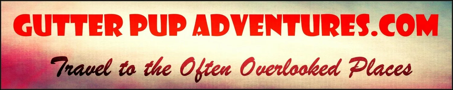 Gutter Pup Adventures